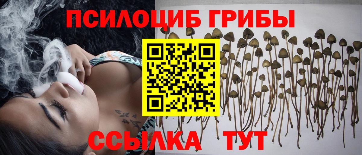 Псилоцибиновые грибы GOLDEN TEACHER Находка